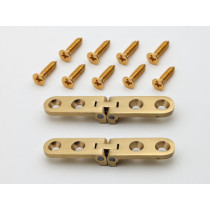 Brass Narrow Hinge Set