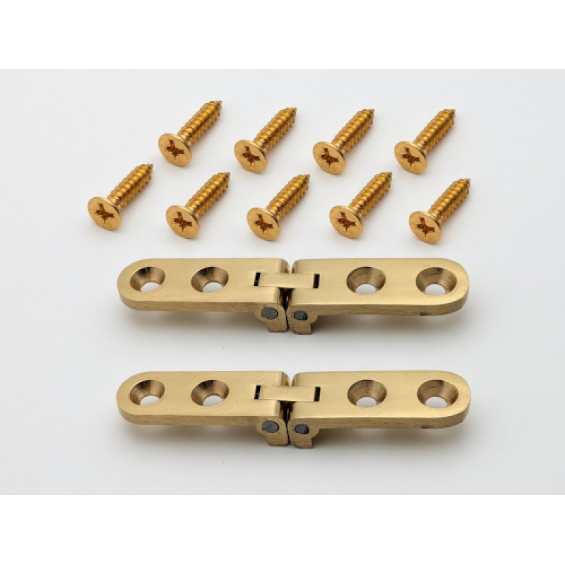 Brass Narrow Hinge Set